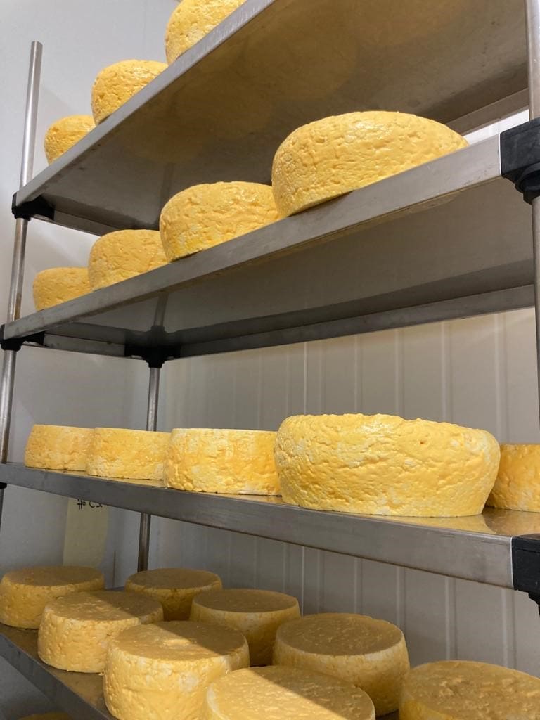 WiltonFarmNorfolkWhiteLadyCheese3